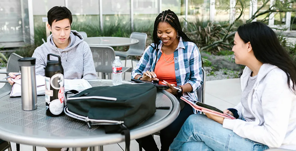 college students studying together