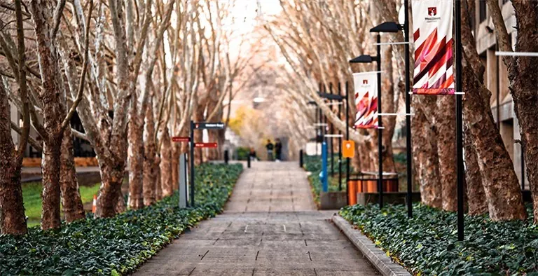 3 Crucial Things That Most College Financial Literacy Programs Lack header