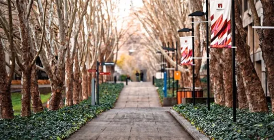 3 Crucial Things That Most College Financial Literacy Programs Lack header