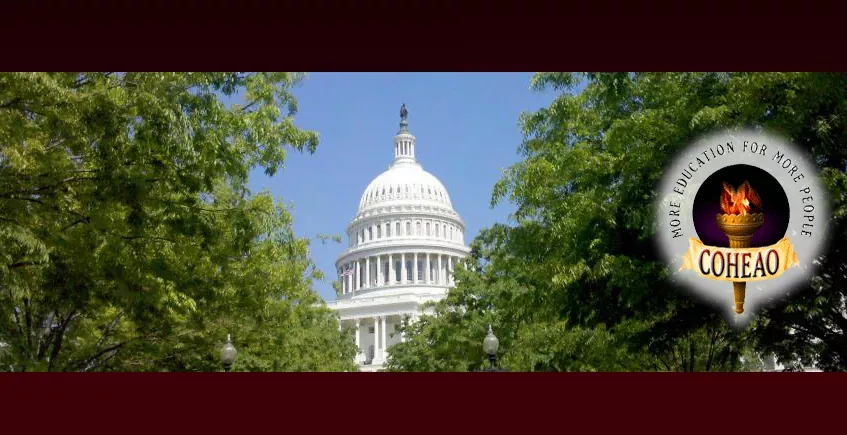 Financial Literacy Whitepaper header